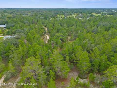 0 Madison Street, Brooksville, FL 34613