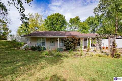 6635 Stith Valley Road, Guston, KY 40108