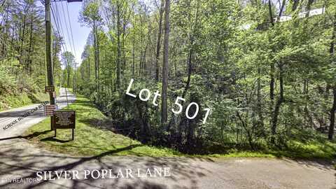 Silver Poplar Lane, Sevierville, TN 37876