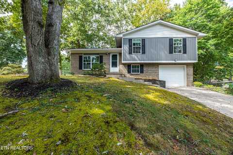 5110 Foxwood Rd, Knoxville, TN 37921