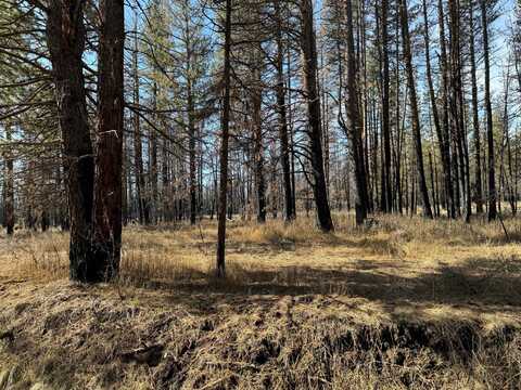 5 Acres Near Godowa Springs Road, Beatty, OR 97621