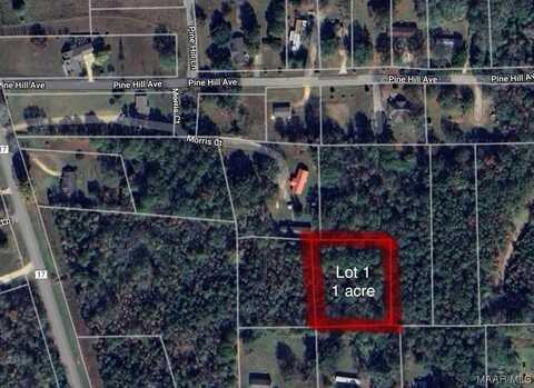 Lot 1 Morris Court, Hayneville, AL 36040