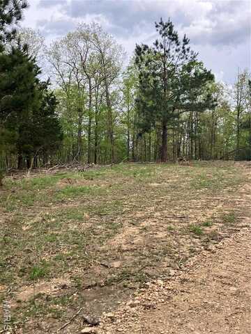 29 Madison CR 410, Fredericktown, MO 63645