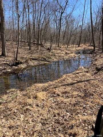 35 Madison CR 410, Fredericktown, MO 63645
