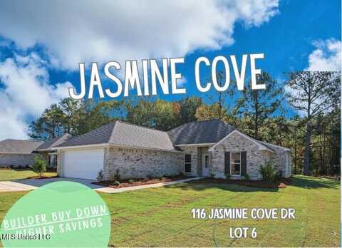 116 Jasmine Cove Drive, Brandon, MS 39042