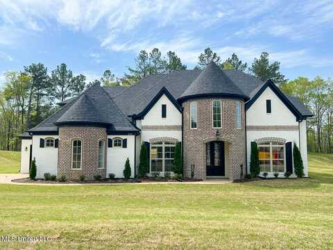 11317 Vicki'S Lane, Olive Branch, MS 38654