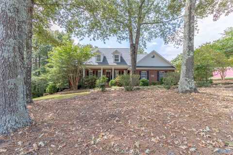 255 River Pointe Drive, Guntersville, AL 35976