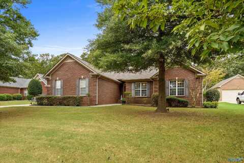 127 Castlehill Drive, Meridianville, AL 35759