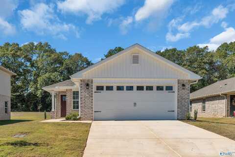 15371 Lapwing Cove, Athens, AL 35611