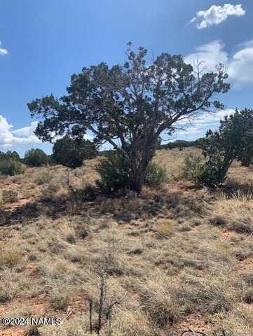 0 S Glen Spring Lane, Williams, AZ 86046