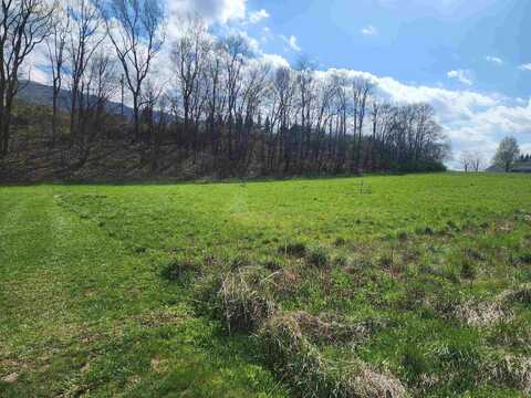 TBD Wolf Creek Road, Narrows, VA 24124