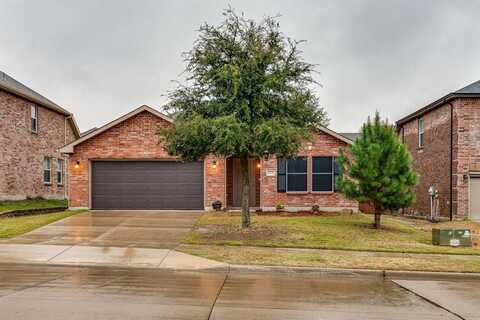 13000 Sewanee Drive, Frisco, TX 75035