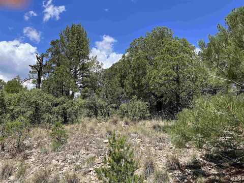 14 Milton Rd, Timberon, NM 88350