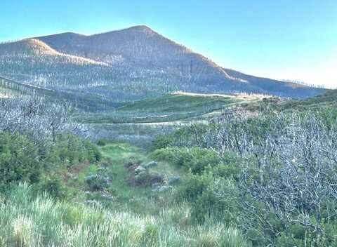 Lot 16 Yellowstone Creek Rd, Walsenburg, CO 81089