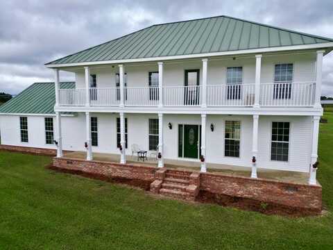 7481 County Road 110, Brundidge, AL 36010