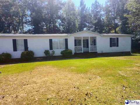 3512 Dud Road, Effingham, SC 29541