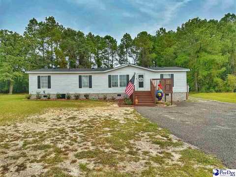 1074 Pee Dee Church Road, Dillon, SC 29536