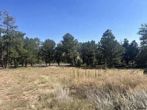 1474 Elkhorn Road, Cotopaxi, CO 81223