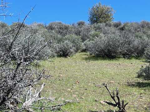 Unit 4 Lot 525 Blue Gill Dr, Hornbrook, CA 96044