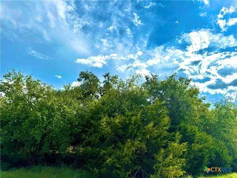 5884 TENNEY CREEK Road, Luling, TX 78648