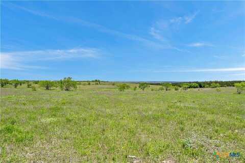 Lot 1 CR 207, Burnet, TX 78611