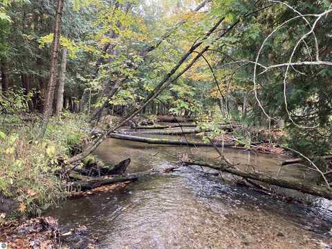 VL 3.08 Acres Wilderness Trail, Kaleva, MI 49645