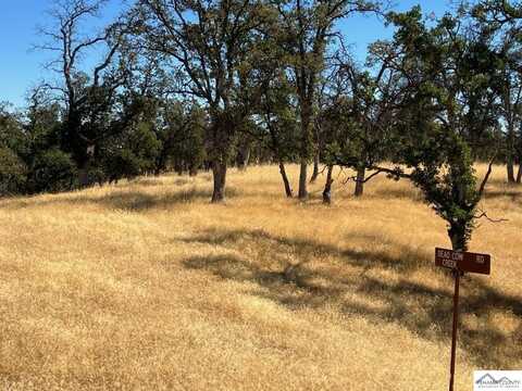 Dead Cow Creek Road, Red Bluff, CA 96080