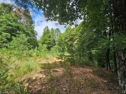 Tbd Mertie Road, Millers Creek, NC 28651