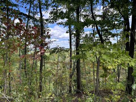 Lot 2809 Aily Rd, Clinchco, VA 24226