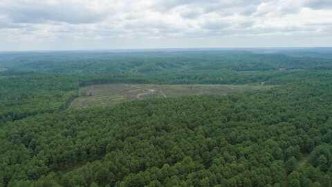 COAL VALLEY Rd, Townley, AL 35587