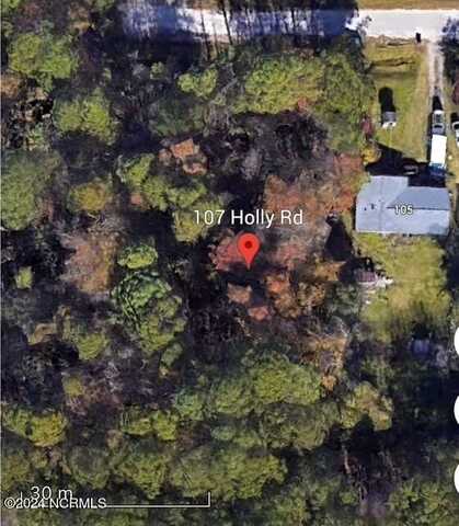 107 Holly Street Road, Castle Hayne, NC 28429