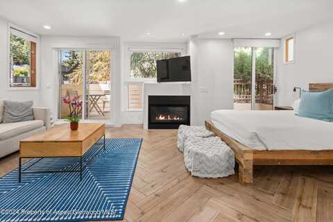 819 E Hyman Avenue, Aspen, CO 81611