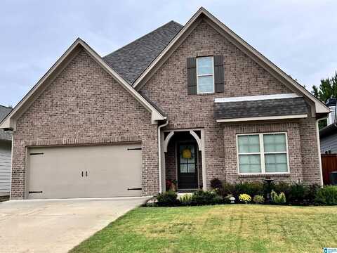 380 STERLING PLACE, ODENVILLE, AL 35120