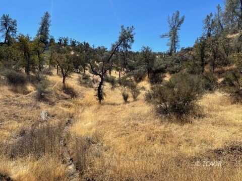 Lot 140 Fiddlers Rd, Ono, CA 96047