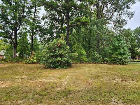 Lot 210 Schoolwood Cove, Redfield, AR 72132