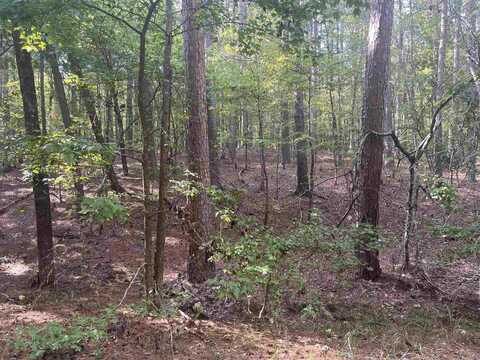 LOT 7 BLK 4 Doscientos Way, Hot Springs Village, AR 71909