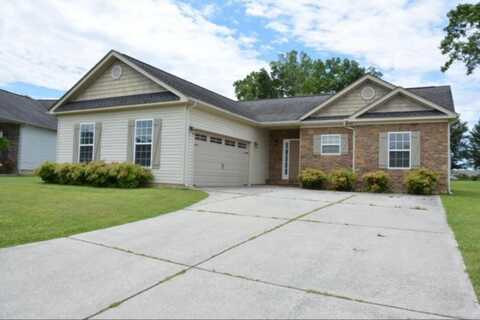 8278 Bluegill Circle, Ooltewah, TN 37363