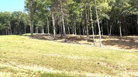 Lot 3 RIDGE DRIVE, MORGANTON, GA 30560