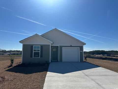 197 Country Grove Way, Galivants Ferry, SC 29544