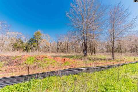 0 Lands End Lane, Prosperity, SC 29127