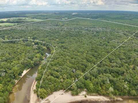 202 Acres Columbus Holley Road, Samson, AL 36477