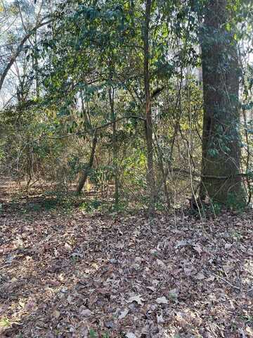 0 Cherokee Lane, Eufaula, AL 36027