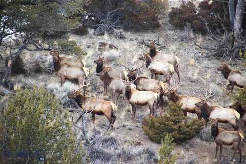 Tbd Horseshoe Cottonwood Rd., Manhattan, MT 59741