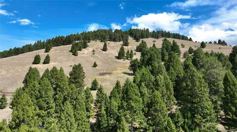 Scranton Lode Lot 5 MS 3667 Road, Philipsburg, MT 59858