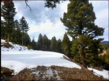 Copper Cross #3969, Moffet Gulch Rd, Divide, MT 59743