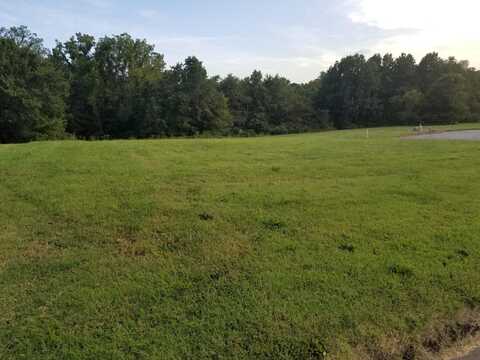 Lot 11 Fox Haven Drive, Mount Vernon, MO 65712