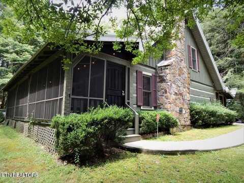 119 Misty Way, Cosby, TN 37722