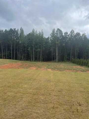 Lot 2A-1 LEE ROAD 155, SALEM, AL 36874