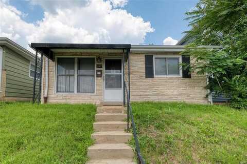 5805 Nashville Avenue, Saint Louis, MO 63110