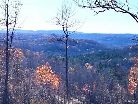 47 Madison CR 410, Fredericktown, MO 63645